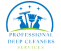 professionaldeepcleaners.com